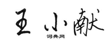 骆恒光王小献行书个性签名怎么写