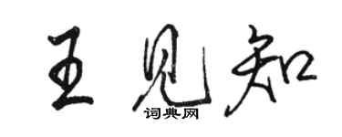 骆恒光王见知行书个性签名怎么写