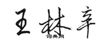 骆恒光王林辛行书个性签名怎么写