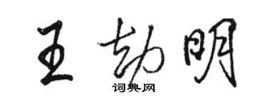 骆恒光王劫明行书个性签名怎么写