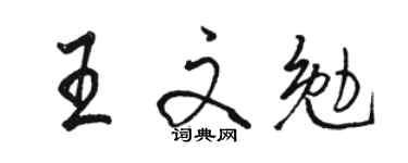 骆恒光王文勉行书个性签名怎么写