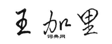 骆恒光王加里行书个性签名怎么写