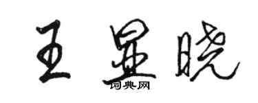 骆恒光王显晓行书个性签名怎么写