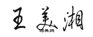 骆恒光王美湘行书个性签名怎么写