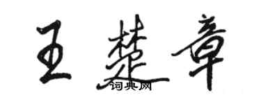 骆恒光王楚章行书个性签名怎么写