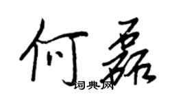 王正良何磊行书个性签名怎么写