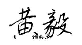王正良黄毅行书个性签名怎么写