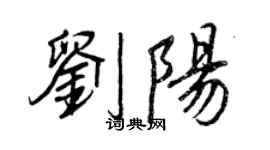 王正良刘阳行书个性签名怎么写