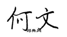 王正良何文行书个性签名怎么写