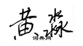 王正良黄淼行书个性签名怎么写