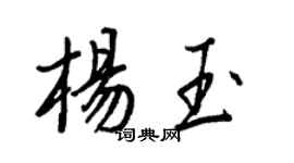 王正良杨玉行书个性签名怎么写