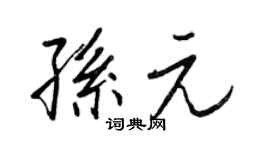 王正良孙元行书个性签名怎么写
