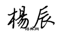 王正良杨辰行书个性签名怎么写