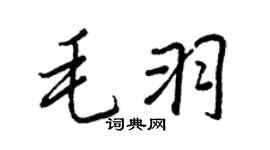 王正良毛羽行书个性签名怎么写