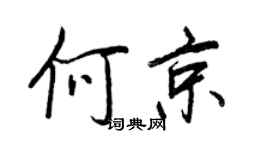 王正良何京行书个性签名怎么写