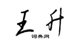 王正良王升行书个性签名怎么写