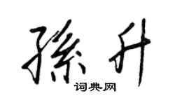 王正良孙升行书个性签名怎么写