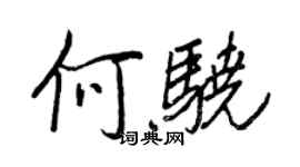 王正良何骁行书个性签名怎么写