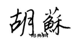 王正良胡苏行书个性签名怎么写