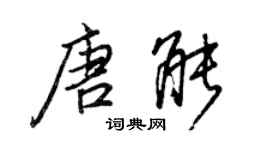 王正良唐能行书个性签名怎么写