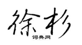 王正良徐杉行书个性签名怎么写
