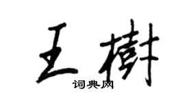 王正良王树行书个性签名怎么写