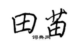 王正良田苗行书个性签名怎么写