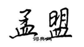 王正良孟盟行书个性签名怎么写