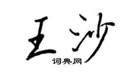 王正良王沙行书个性签名怎么写