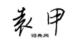 王正良袁甲行书个性签名怎么写