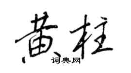 王正良黄柱行书个性签名怎么写