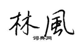 王正良林风行书个性签名怎么写