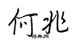 王正良何兆行书个性签名怎么写