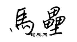 王正良马垒行书个性签名怎么写