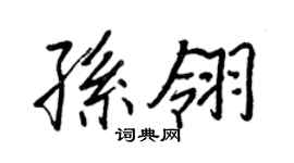 王正良孙翎行书个性签名怎么写