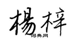 王正良杨梓行书个性签名怎么写