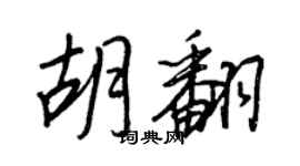 王正良胡翻行书个性签名怎么写
