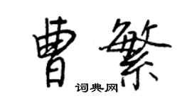 王正良曹繁行书个性签名怎么写