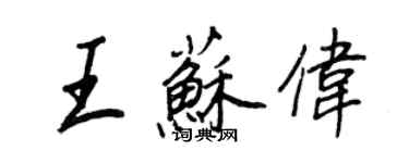 王正良王苏伟行书个性签名怎么写