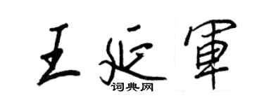 王正良王延军行书个性签名怎么写