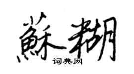 王正良苏糊行书个性签名怎么写