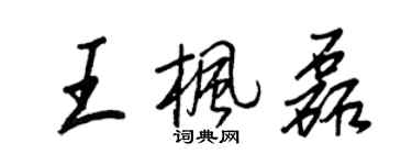 王正良王枫磊行书个性签名怎么写