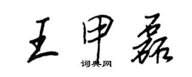 王正良王甲磊行书个性签名怎么写
