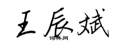 王正良王辰斌行书个性签名怎么写