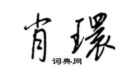 王正良肖环行书个性签名怎么写