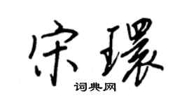王正良宋环行书个性签名怎么写