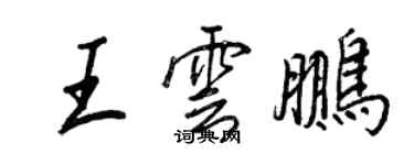 王正良王云鹏行书个性签名怎么写