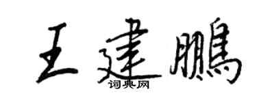 王正良王建鹏行书个性签名怎么写