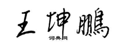 王正良王坤鹏行书个性签名怎么写