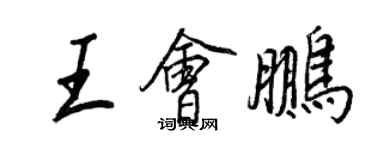 王正良王会鹏行书个性签名怎么写